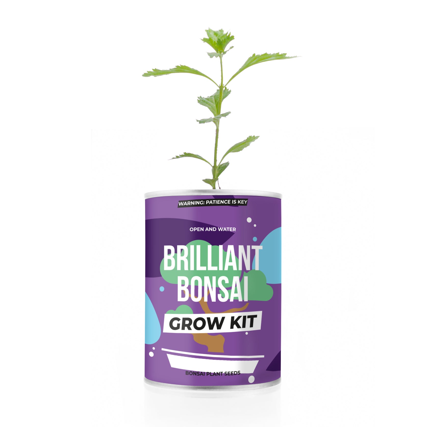brilliant bonsai grow kit Brilliant Bonsai Grow Kit | Buy Bonsai