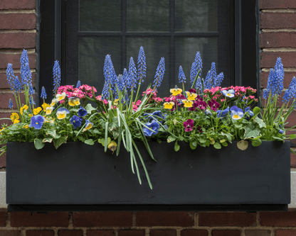 Abonnement jardinière