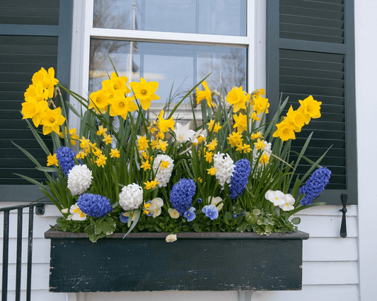 Flower box subscription