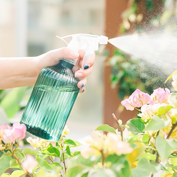Plant sprayer 500ml | Sprayer