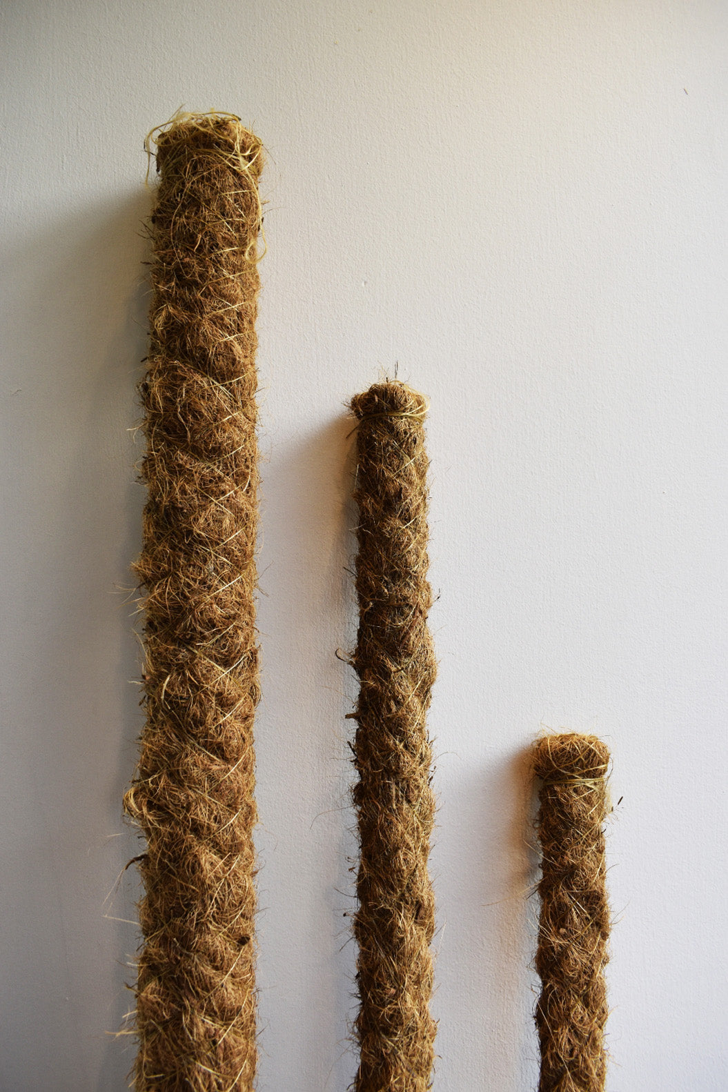 moss pole for sale near me Buy a moss pole or climbing pole