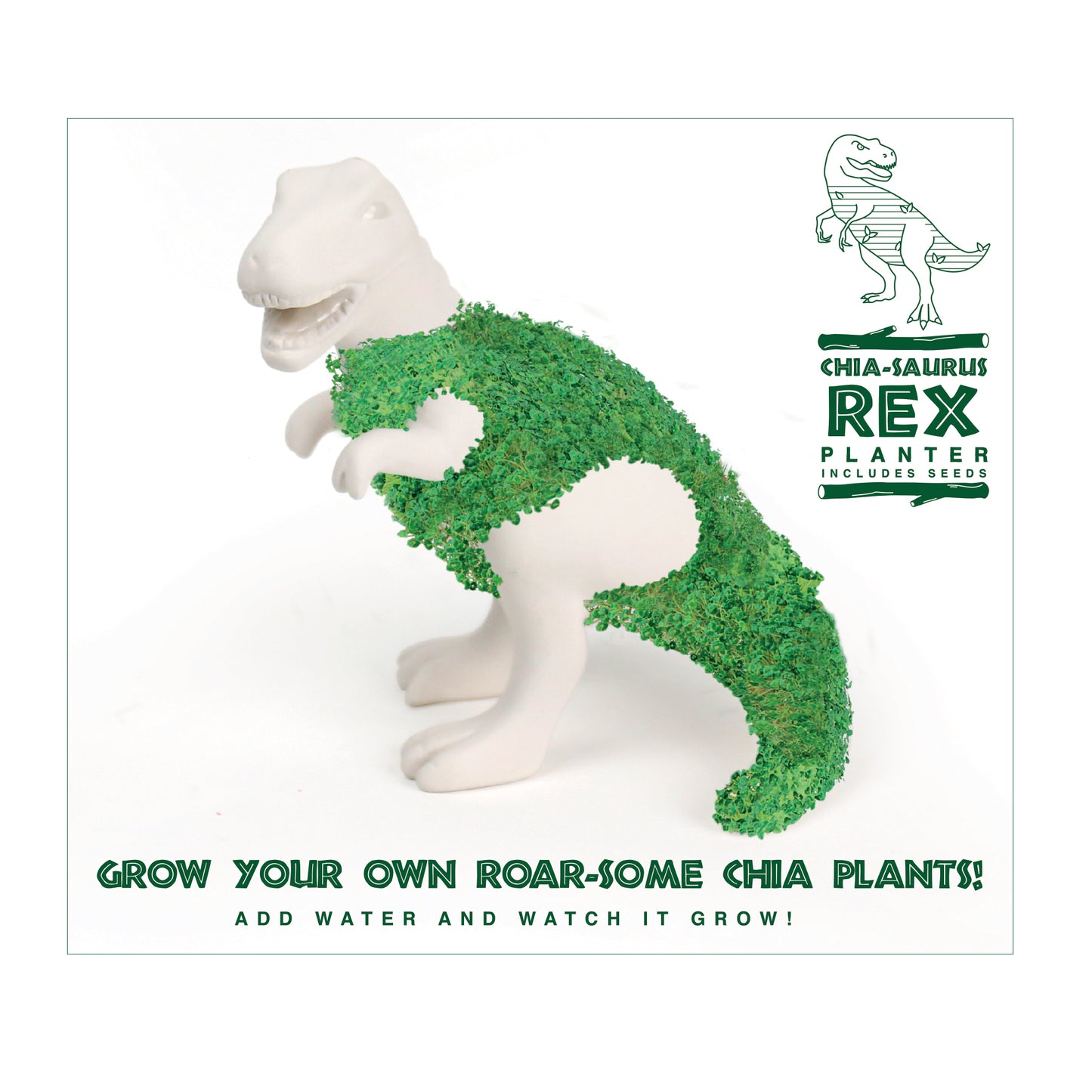 Chia Saurus Planter