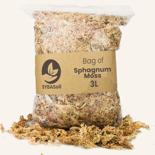 Sphagnum moss (veenmos) - De Plantrekkers  - De Plantrekkers