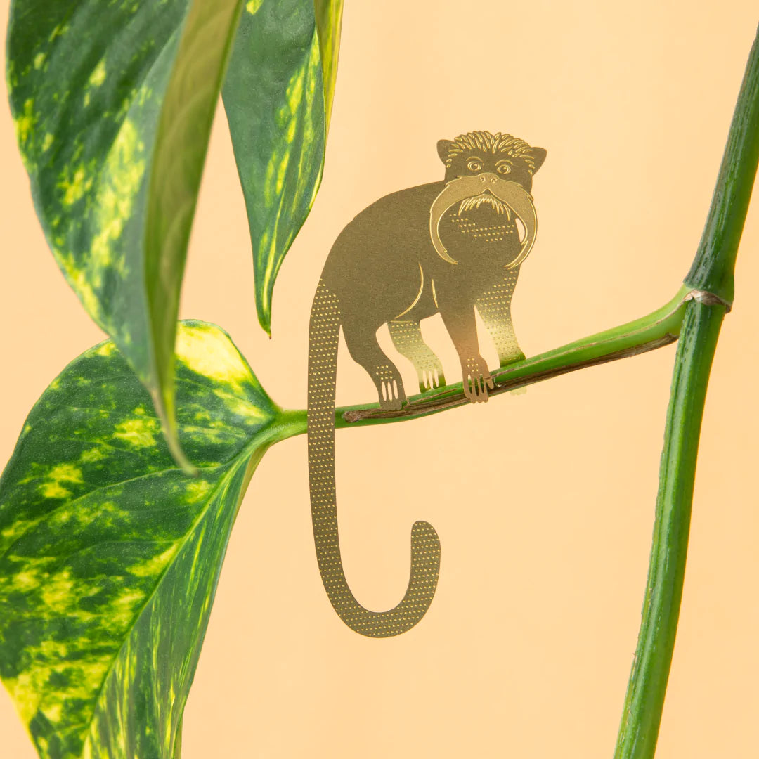 Plant hanger Monkey